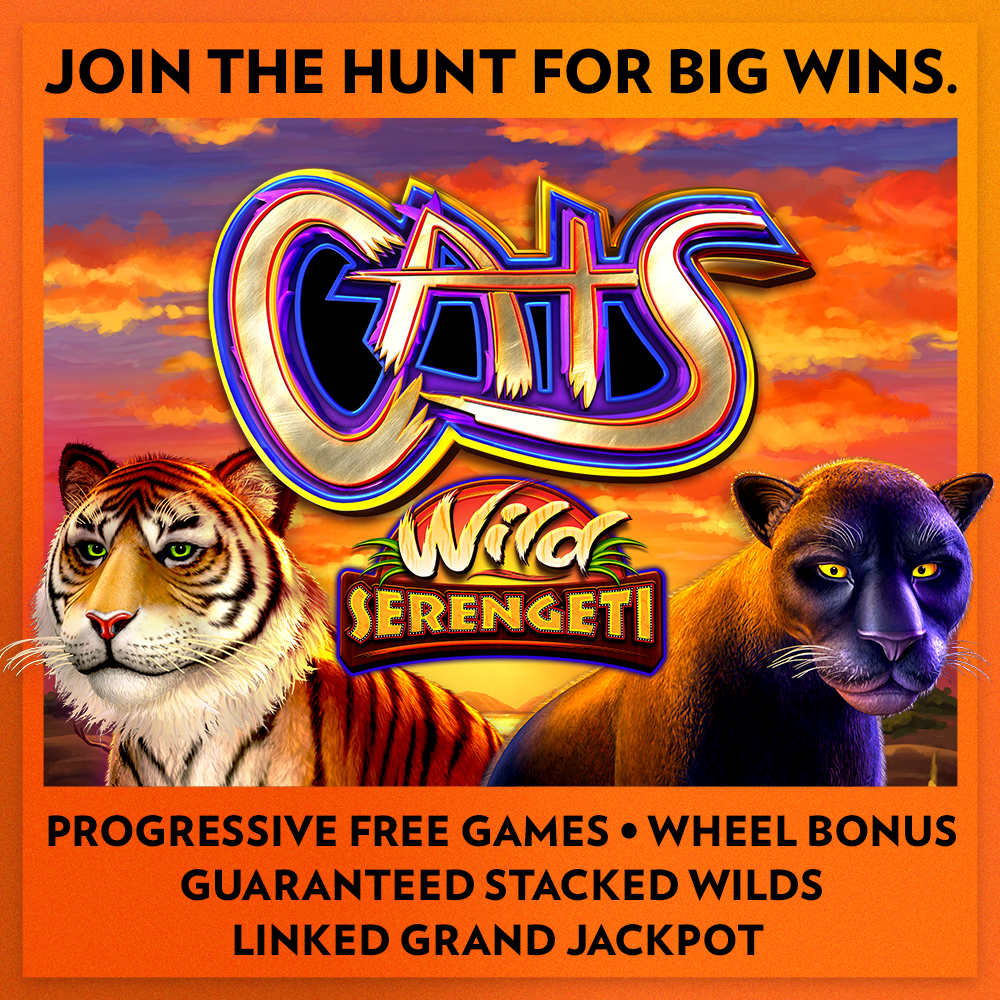 Cats Wild Serengeti linked core video slot game