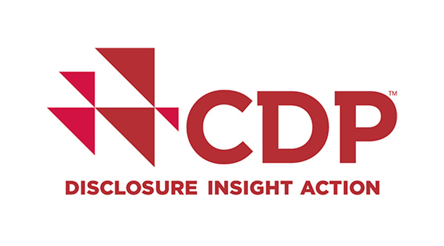Disclosure Insight Action